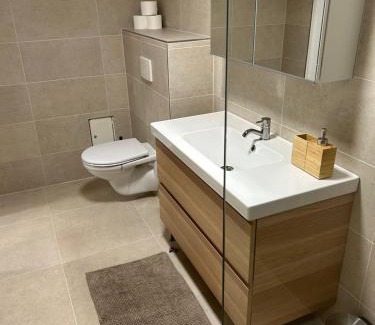 Dvur Kralove nad Labem Apartment | Red Travel Apartment