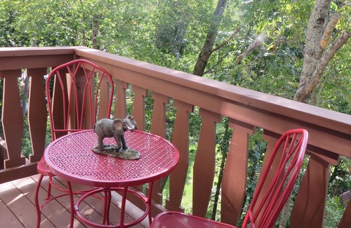 Helen House | REDUCED HOLIDAY RATES - Have a Hakuna Matata apline vacation in Style & Luxury!