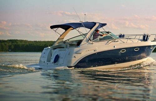 Concord House | Reduced Pricing / Tiny Chic House / 5 min. from Downtown Concord / Small Dogs OK / Fire pit / Gazebo