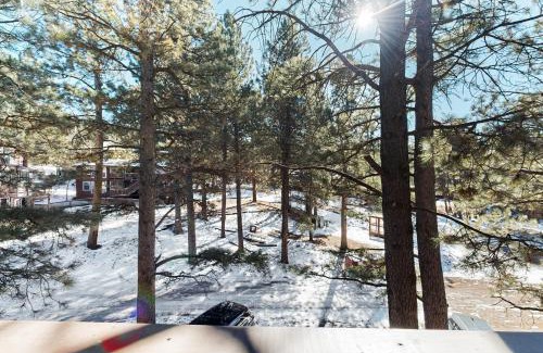 Angel Fire Apartment | Redwood Commons B12