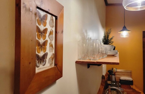Fortuna House | Redwood Hiding Place