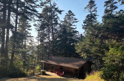 Galt House | Redwoods Oceanview Retreat