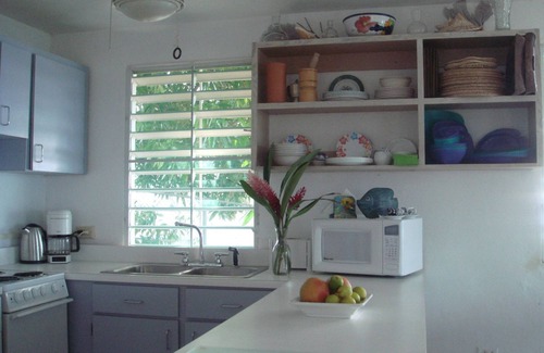 Bravos de Boston House | Reefhouse: 3BR Oceanfront home, gorgeous deck, tranquility, 3 min walk to beach