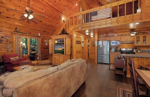 Cherry Log Cabin | Reel Medicine- Cherry Log GA