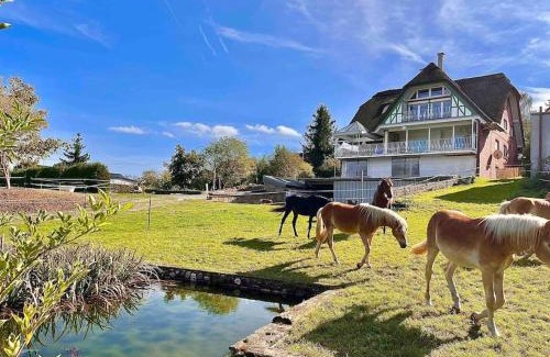 Boppard Apartment | Reet am Rhein - Obere Hälfte