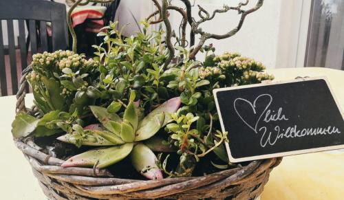 Lußvitz Apartment | Reet Landhaus Rügen