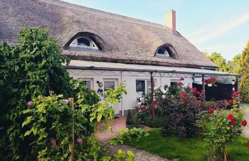 Lußvitz Apartment | Reet Landhaus Rügen