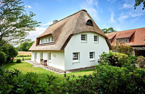 Klein Hansdorf House | Reetdach-Villa mit Blick in die Natur - 160m² Entspannung pur