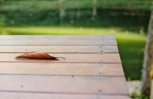 Ibiuna Villa | Refúgio da Mata Ibiúna Petfriend