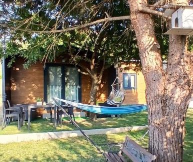 Marco de Canaveses Ski Chalet | Refúgio Da Pinheira