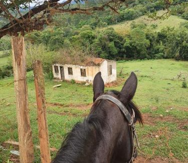 Santo Antonio do Pinhal Cabin | Refúgio Horse
