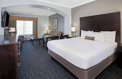 Westchase Hotel | Refined Room for Professionals with Poolside Zen | Free Parking