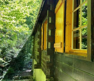 Thury Ski Chalet | Refuge Nature - Chalet avec Terrasse vue forêt
