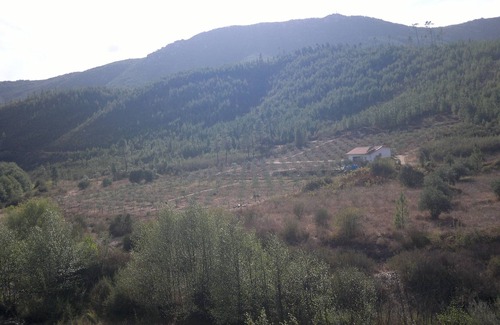 Montes da Senhora House | REFUGE OF RAPOSO / CASA DA RIBEIRA (AGROTURISMO)