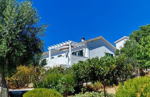 Vila de Rei House | Refugio Abrunheiro Grande