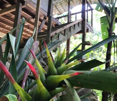 San Carlos House | Refugio Cumaná