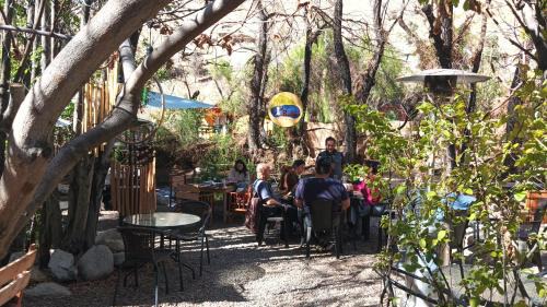 Paihuano Bed & Breakfast | Refugio Diaguita