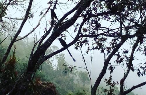 Los Nomos Ski Chalet | Refugio en las Nubes