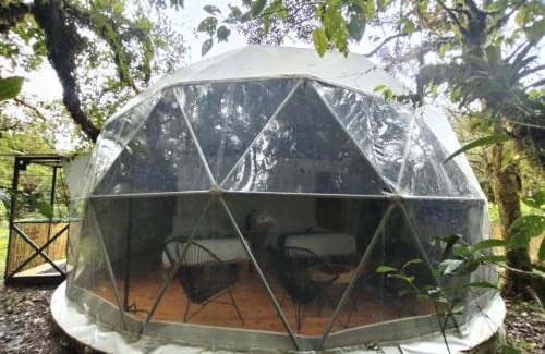Piedades Norte Hotel | Refugio La Paz EcoGlamping
