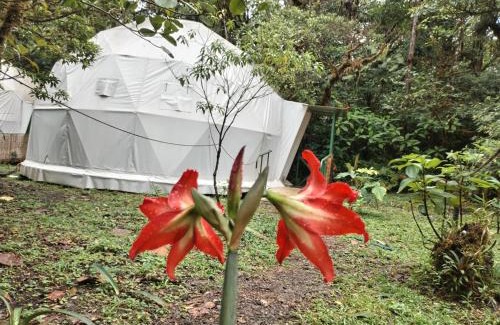 Piedades Norte Hotel | Refugio La Paz EcoGlamping