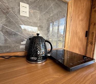 Loncoche Apartment | Refugio lliu lliu, eco suite