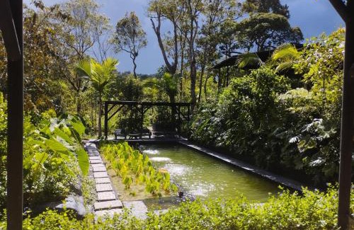 Medellin Cabin | Refugio Madremonte