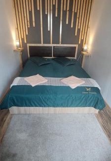 Borsec Apartment | Refugiu Alpin Borsec