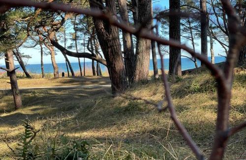 Ummanz Other | Regenbogen Ummanz