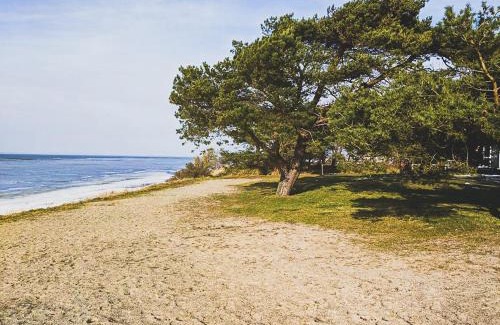 Ummanz Other | Regenbogen Ummanz