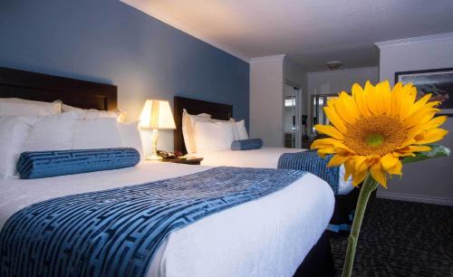 Eagle Rock Hotel | Regency Inn in Los Angeles