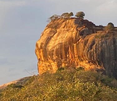 Sigiriya Hostel | Reggae paradise hostel