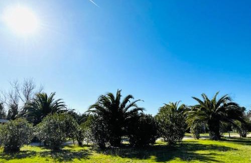 Calambrone Apartment | Regina Beach Holiday Apartments