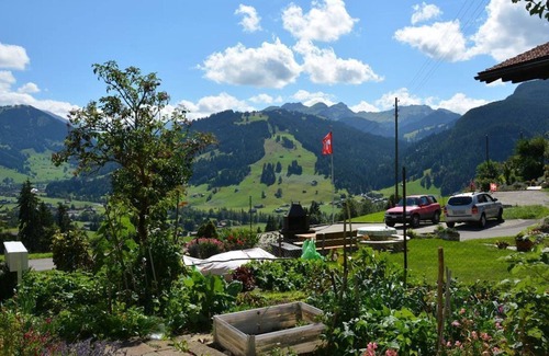 Saanen Apartment | Rehweid (EG) by Interhome