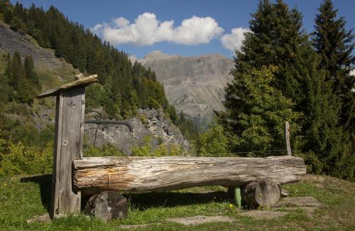 Saint-Nicolas-la-Chapelle Ski Chalet | Reine des Aravis - chalet isolé