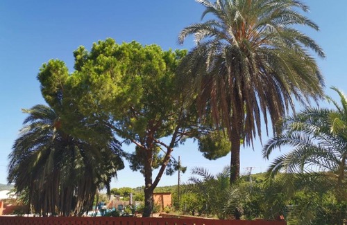 Sagunto Bed & Breakfast | Relais Pollo Loco