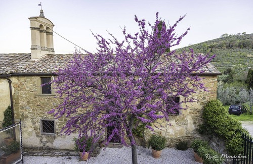 Loro Ciuffenna House | Relais Villa Belpoggio - Residenza d'Epoca
