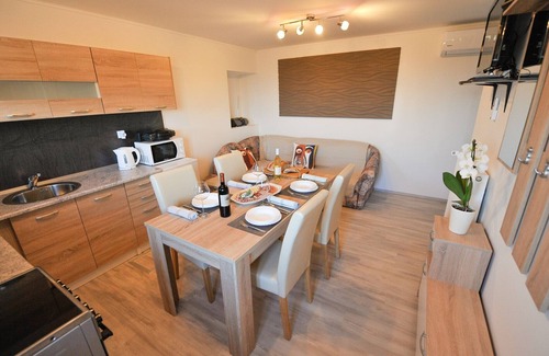 Brezice Apartment | Relax and Rustic Apartments with Terrace - Standard One Bedroom Apartment with Terrace