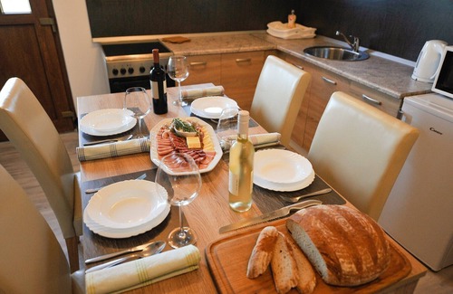 Brezice Apartment | Relax and Rustic Apartments with Terrace - Standard One Bedroom Apartment with Terrace