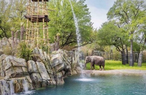 Fort Worth House | Relax and Unwind! 3 Family-friendly Units! Indoor Pool, Close to Fort Worth Zoo!