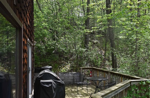 Norwalk Cabin | Relax and watch all the different wildlife pass by as you put life on pause