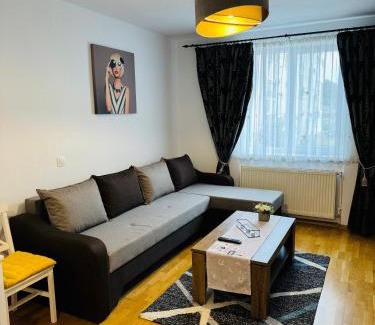 Sighisoara Apartment | Relax Apartment 1