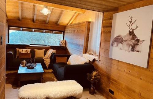 Basse-sur-le-Rupt Ski Chalet | RELAX CHALET Nature Retreat - isolé sur 3 hectares - confort de LUXE - maison entière 150m2 - près de La Bresse