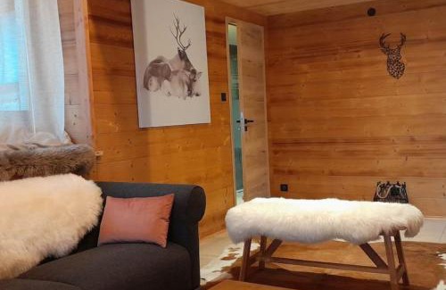 Basse-sur-le-Rupt Ski Chalet | RELAX CHALET Nature Retreat - isolé sur 3 hectares - confort de LUXE - maison entière 150m2 - près de La Bresse