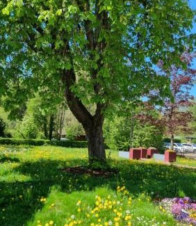 Kleinbettingen House | Relax Cozy Wellbeing Room Near train station