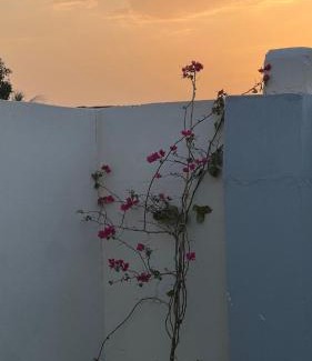 Hatta House | RELAX FARM