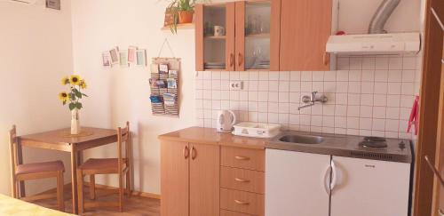 Crni Kal Apartment | Relax in Črni Kal