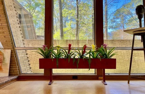 Jackson Cottage | Relax in Architecture! Secluded, Safe, and Serene.