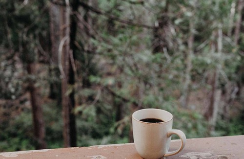 Idyllwild Cabin | Relax in our Amazing Gazebo on a seasonal brook. Perfect couples retreat!