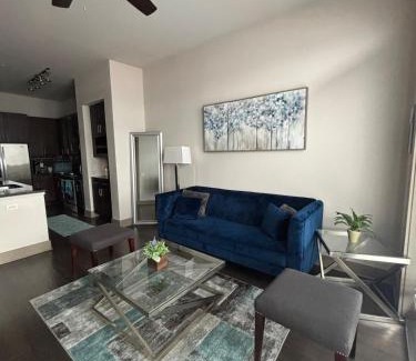 East Downtown Houston Apartment | Relax in the Heart of Houston