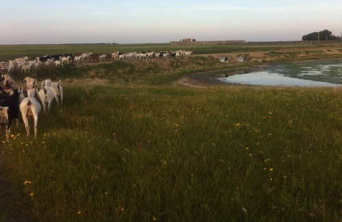 East Central Saskatchewan House | Relax in the Prairie